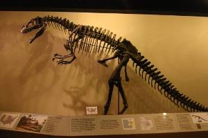 esqueleto de dinossauro